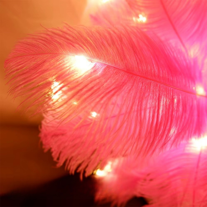 Lampe de Chevet à Plumes Rechargeable – LED Tactile USB, Design Romantique et Ambiance Douce pour Chambre ou Mariage
