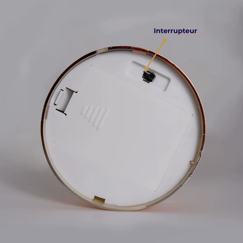 Lampe de Chevet à Plumes Rechargeable – LED Tactile USB, Design Romantique et Ambiance Douce pour Chambre ou Mariage